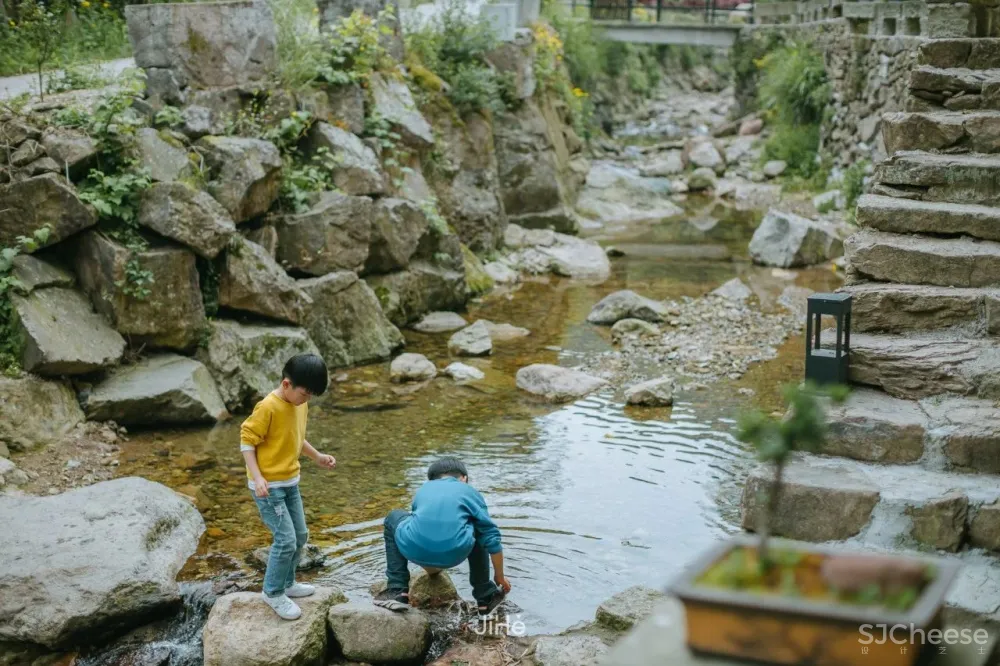 台州仙居|杜若山居 ,睡进森林白房子,人美景少超清净