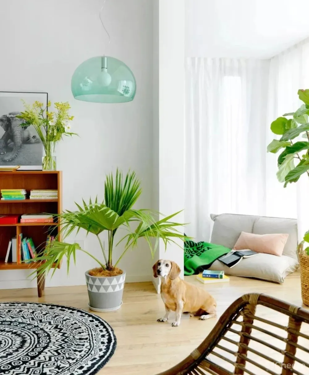 风潮∣今天，带你去6个明星家里看看！