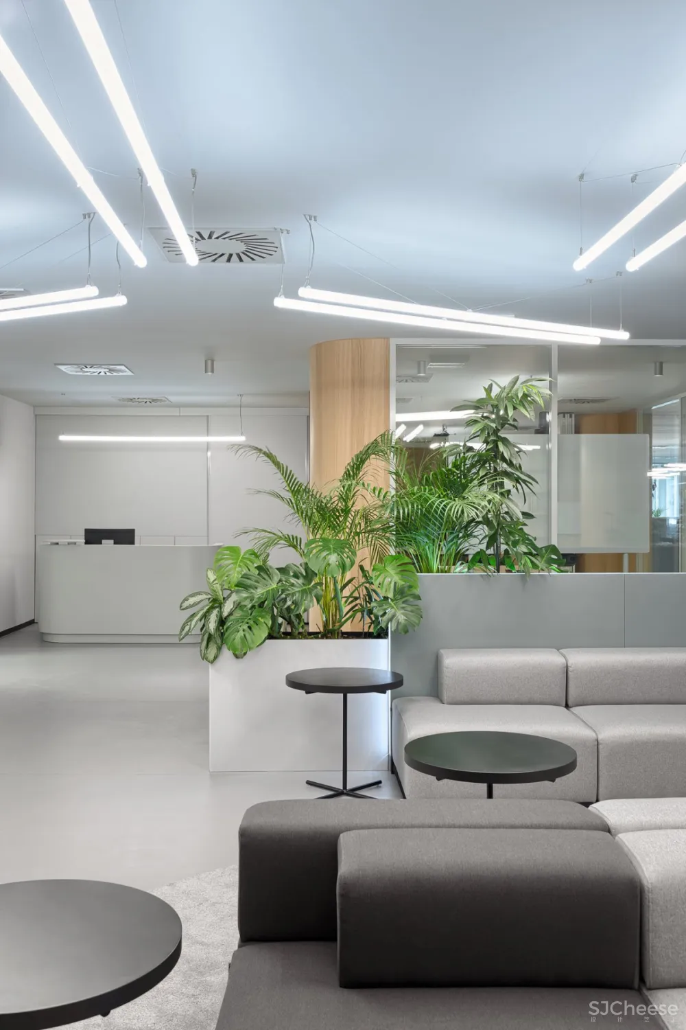 Autori | Roche Offfice , 现代舒适的办公空间