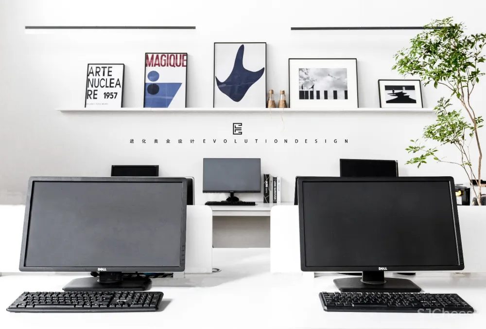 进化 | SOAI WEDDING 神圣的几何