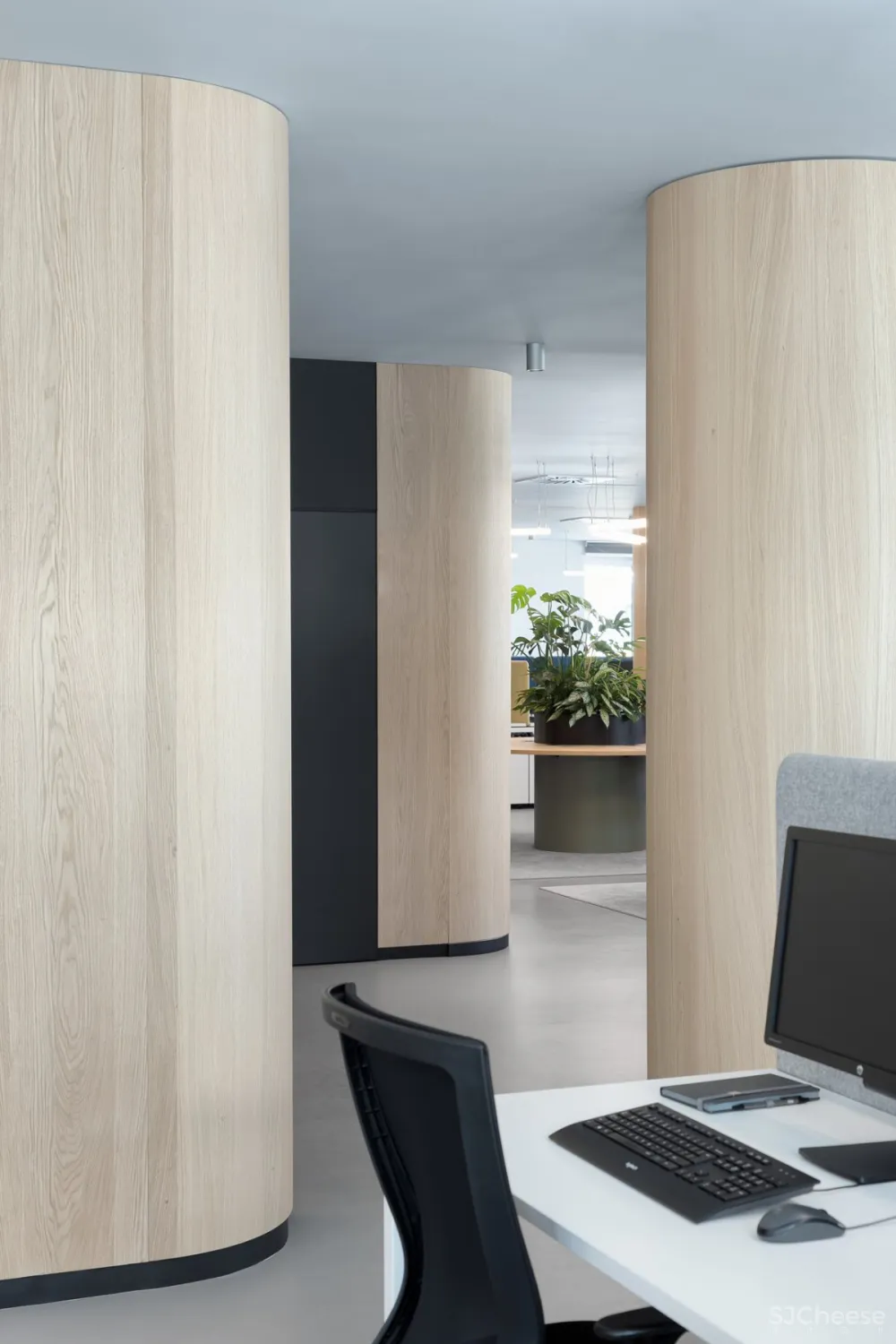 Autori | Roche Offfice , 现代舒适的办公空间