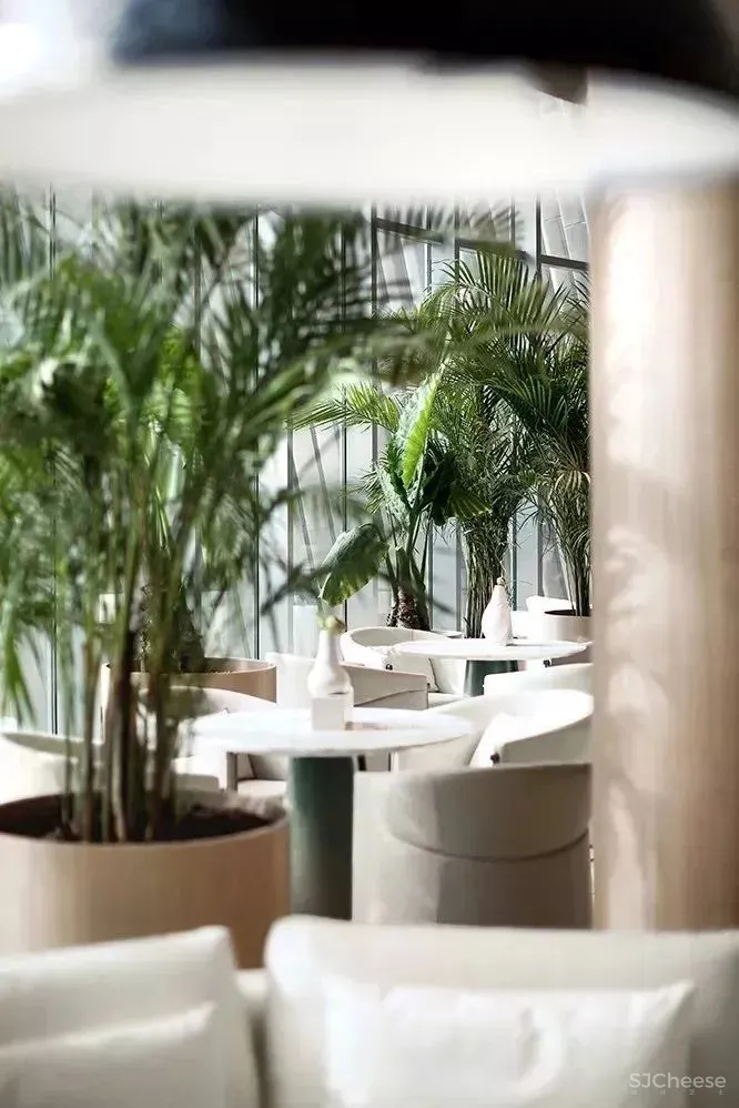 GBD 杜文彪专辑 售楼部