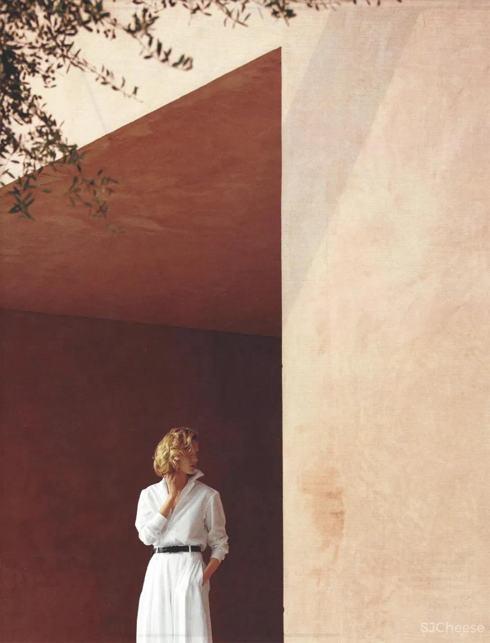 “土味”奢宅，越土越高级