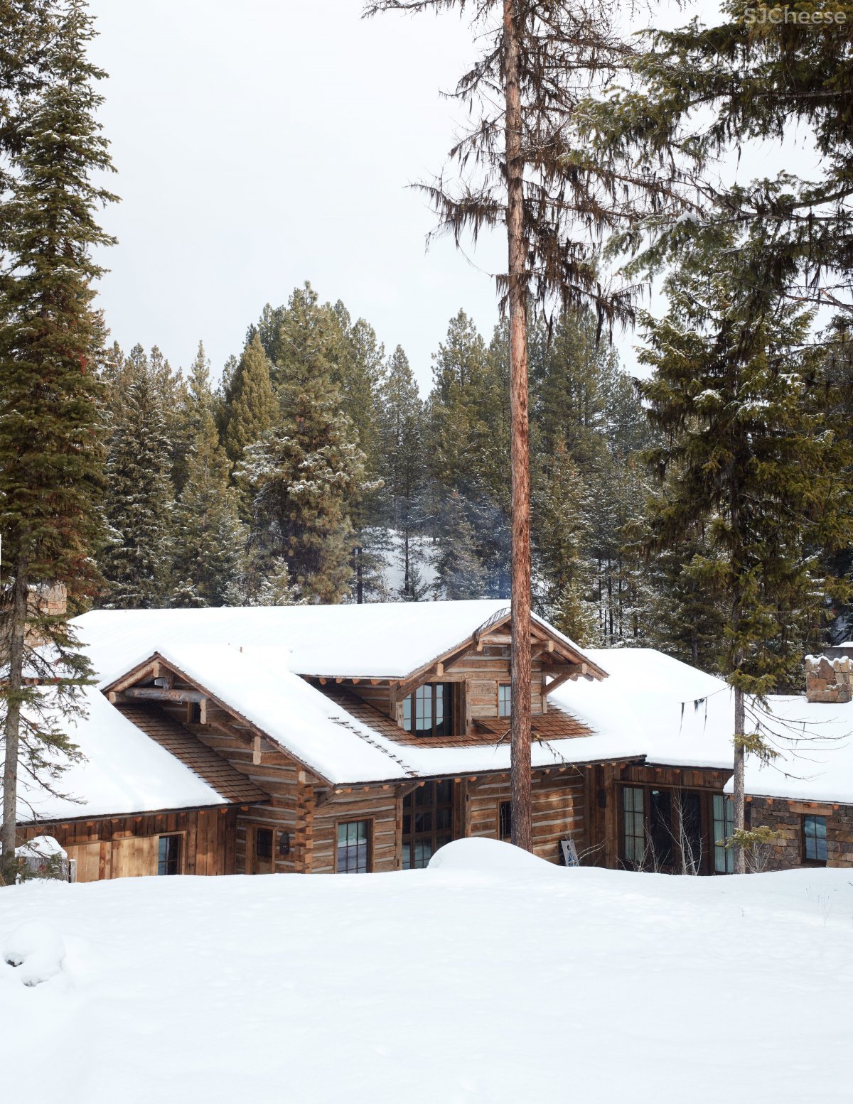 Jake Arnold | 美国男演员Aaron Paul的家