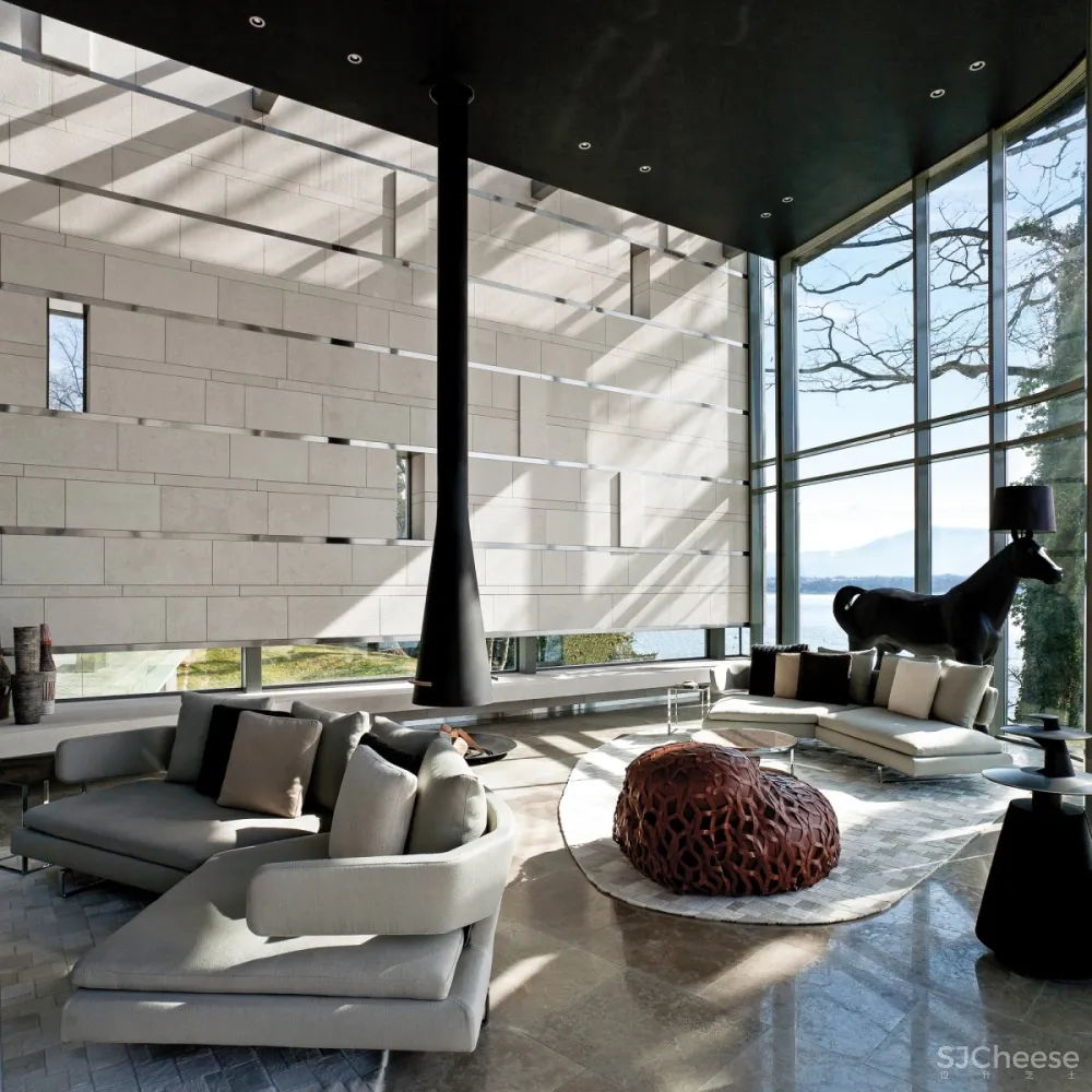 SAOTA & ARRCC | Lake House , 大胆的当代建筑空间