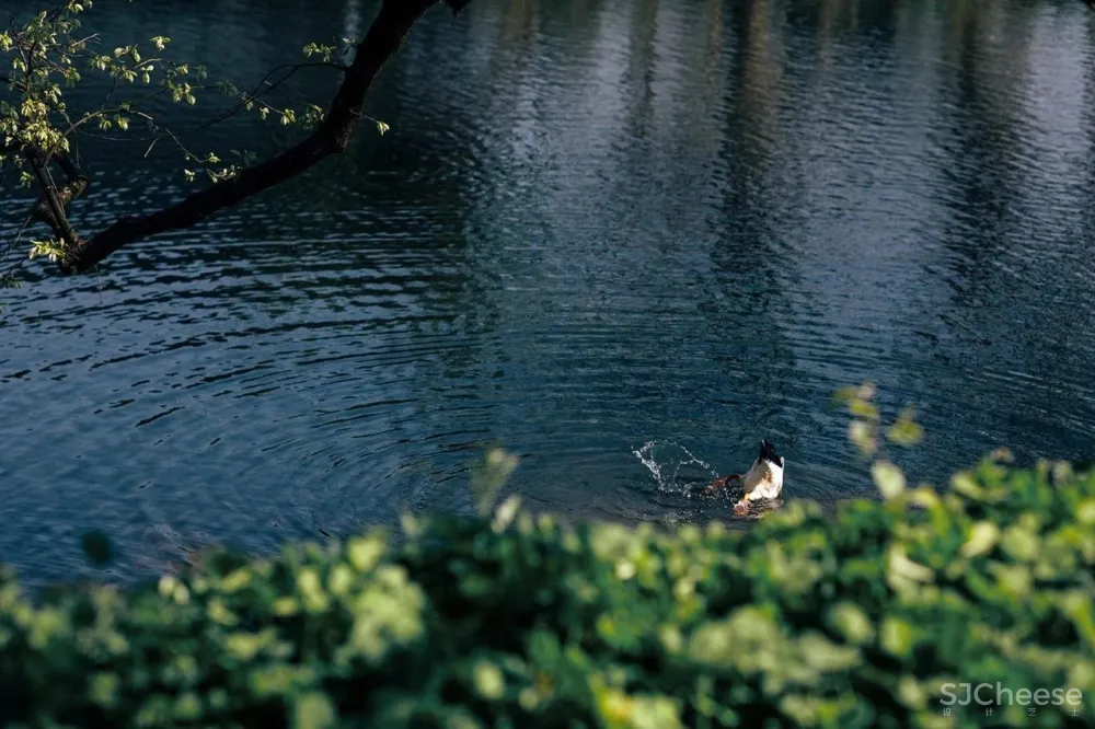 看完西溪这五个美宿，我终于明白为什么大大到访杭州第一站就来了这里