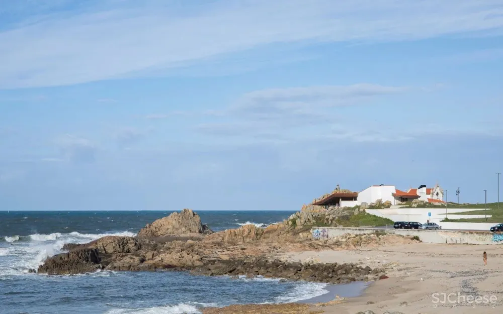 Álvaro Siza 葡萄牙 Architecture