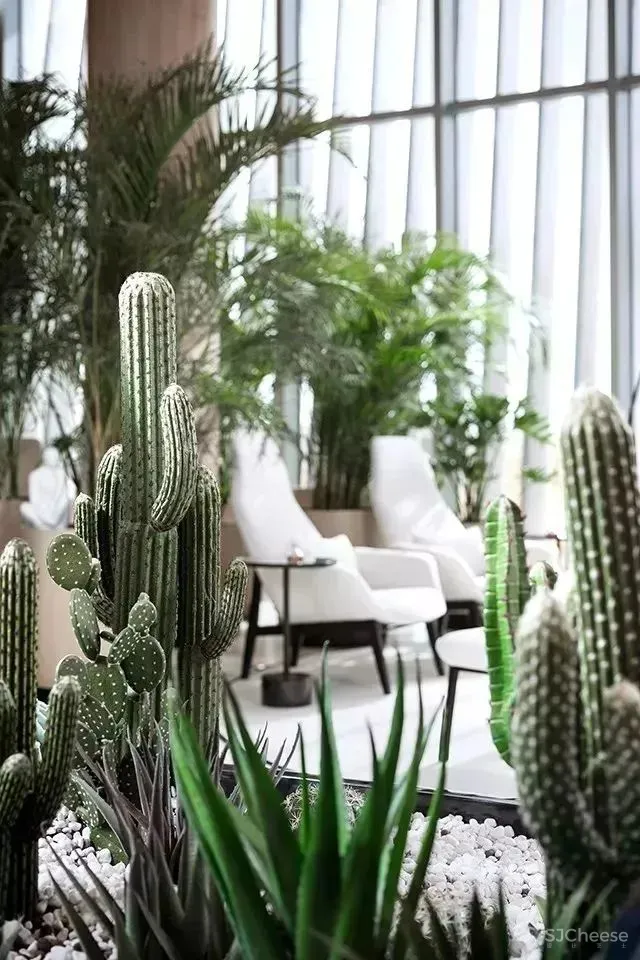 GBD 杜文彪专辑 售楼部