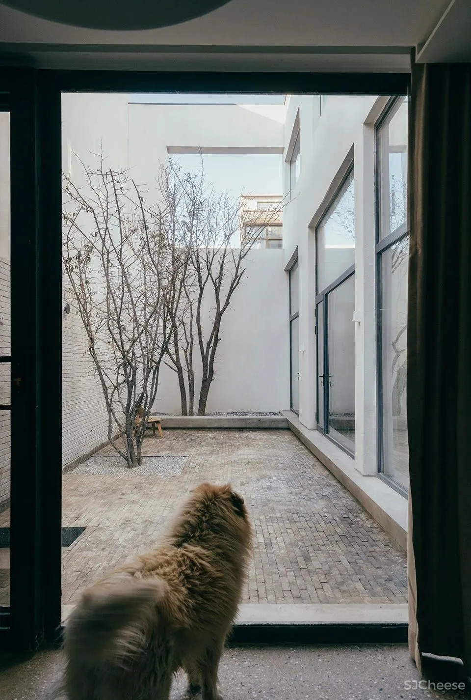 新作 联排住宅的创意改造 缝中之家,北京 察社办公室