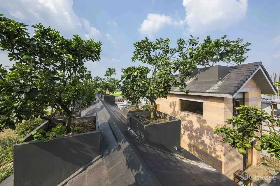 越南这个被低估的设计国度,竟藏了这么多绿色住宅