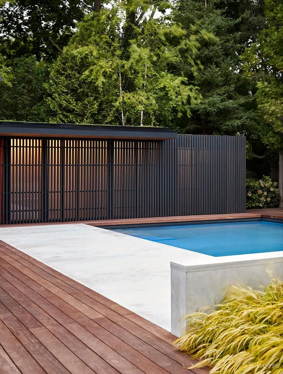 庭院住宅，细节中的自然探索