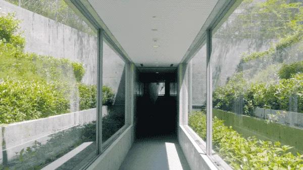 安藤忠雄雪藏17年的神秘作品被改造成酒店,供客人裸泳