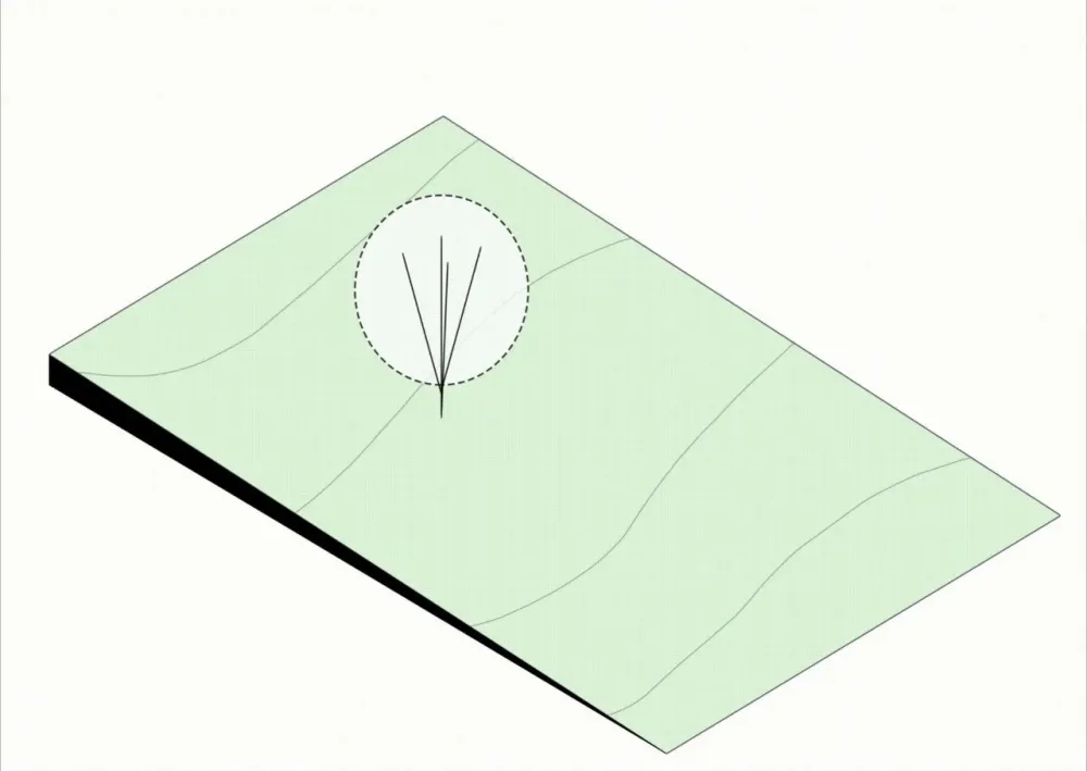 Guilherme Torres丨极简却不冷淡的完美主义