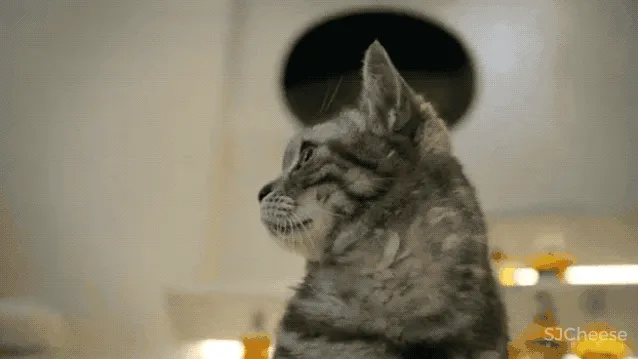 给明星装了多套房子后,他买下3层别墅,为自己打造出终极豪宅