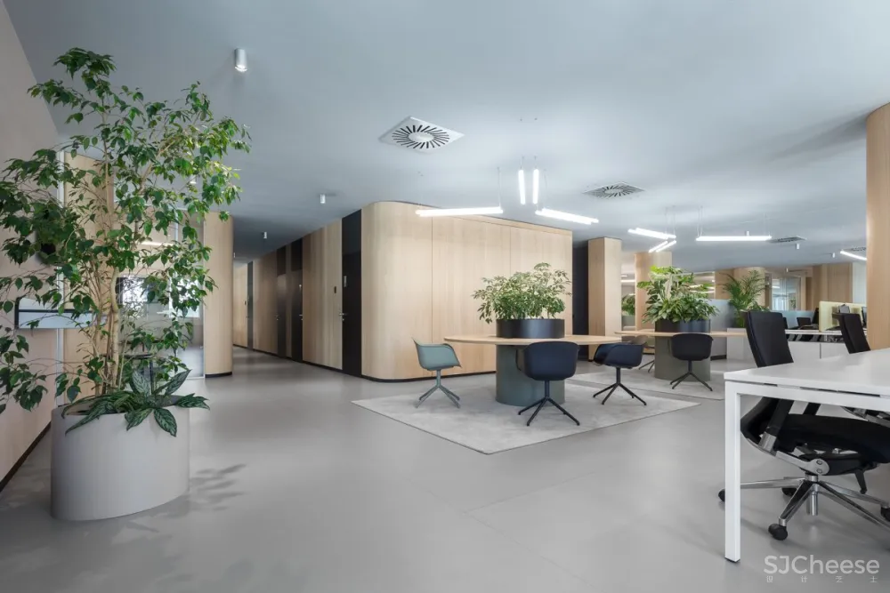 Autori | Roche Offfice , 现代舒适的办公空间