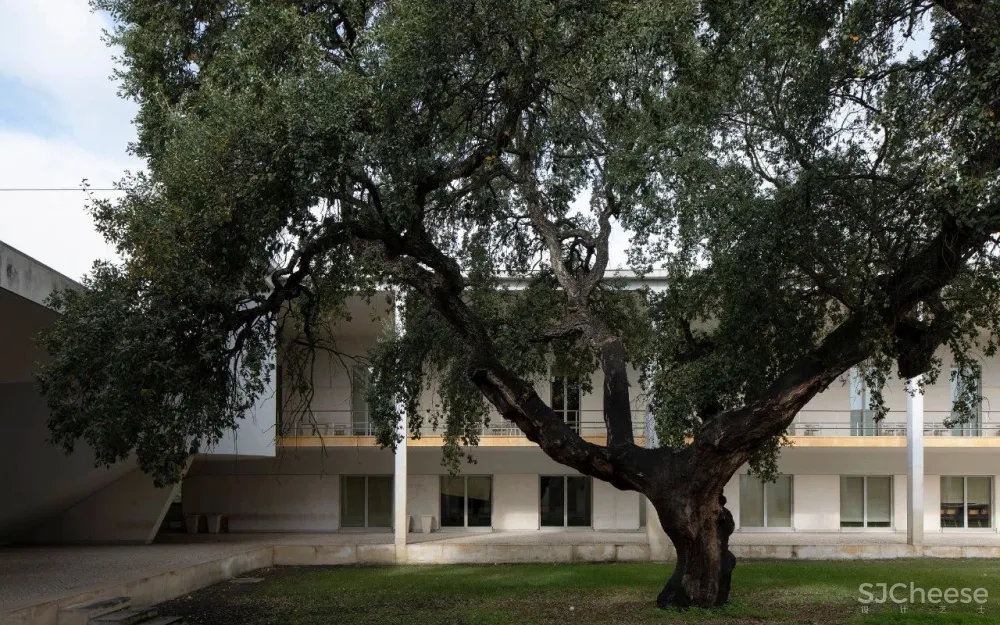 Álvaro Siza 葡萄牙 Architecture