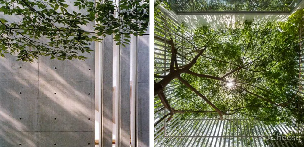 清雅之境，都市中重现山水般的诗意生活! H DESIGN