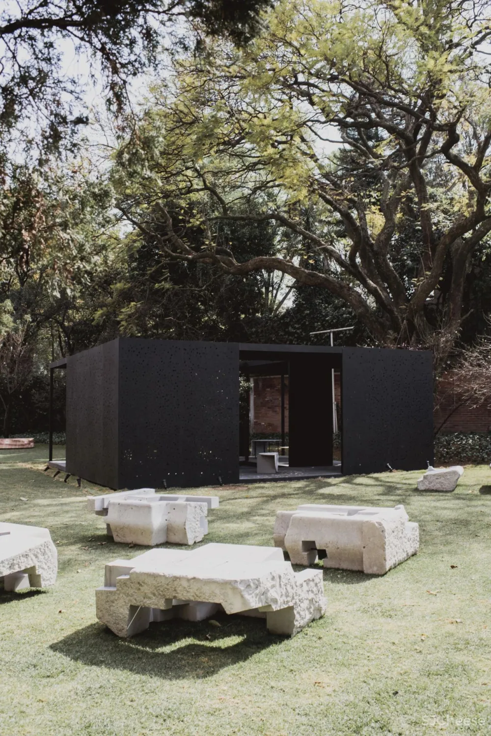 “集體收藏”與“恢復發現”