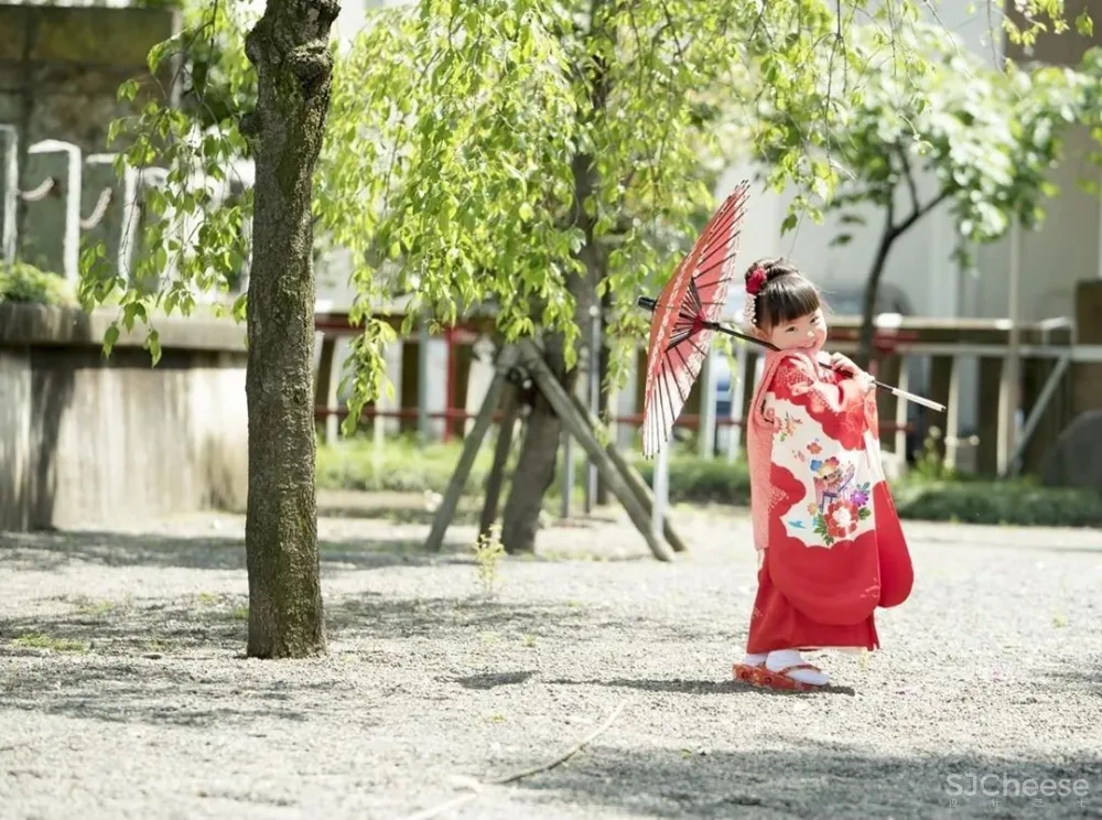 日本一主妇，晒100多㎡房子治愈无数人：没有客厅和电视，却是家居界的教科书！