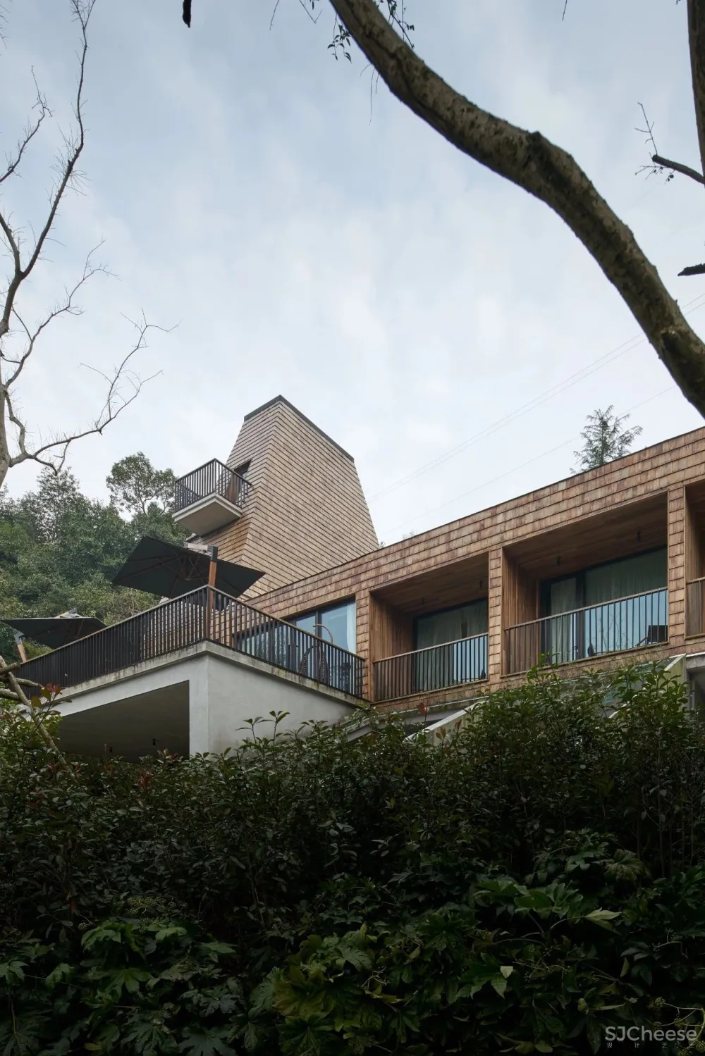 深山里的茶园民宿,美。