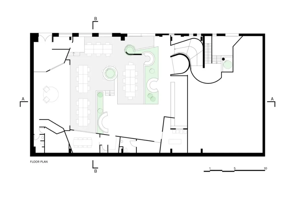 科技公司Scrunch的“丛林”工作场所