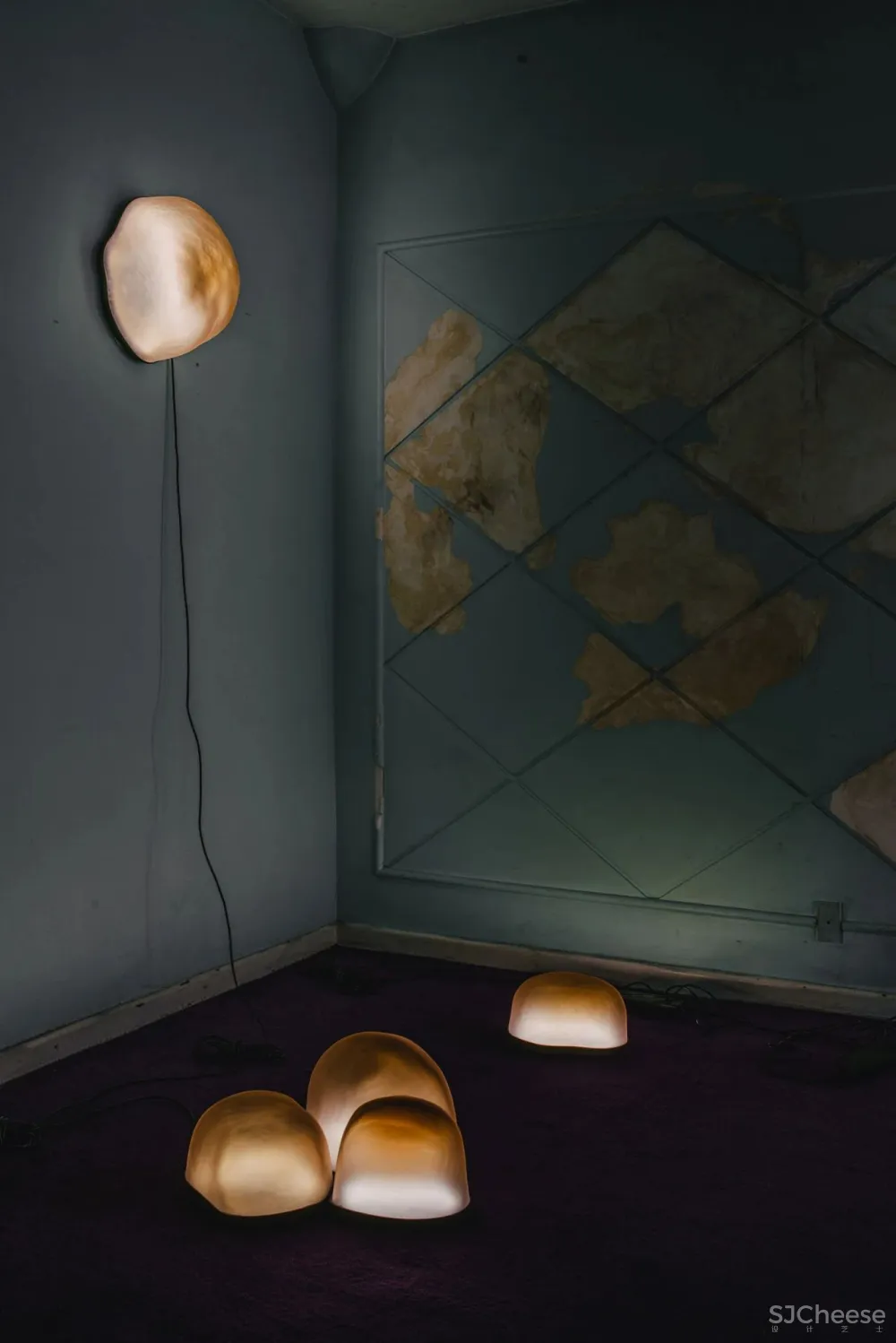 “集體收藏”與“恢復發現”