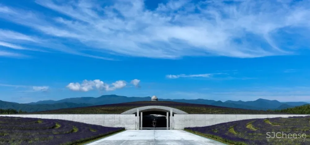 安藤忠雄丨清水混凝土诗人