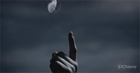 GBD 杜文彪专辑 售楼部