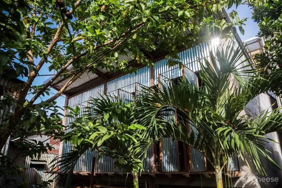 越南这个被低估的设计国度,竟藏了这么多绿色住宅