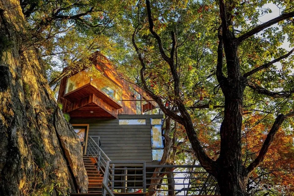 深山里的茶园民宿,美。