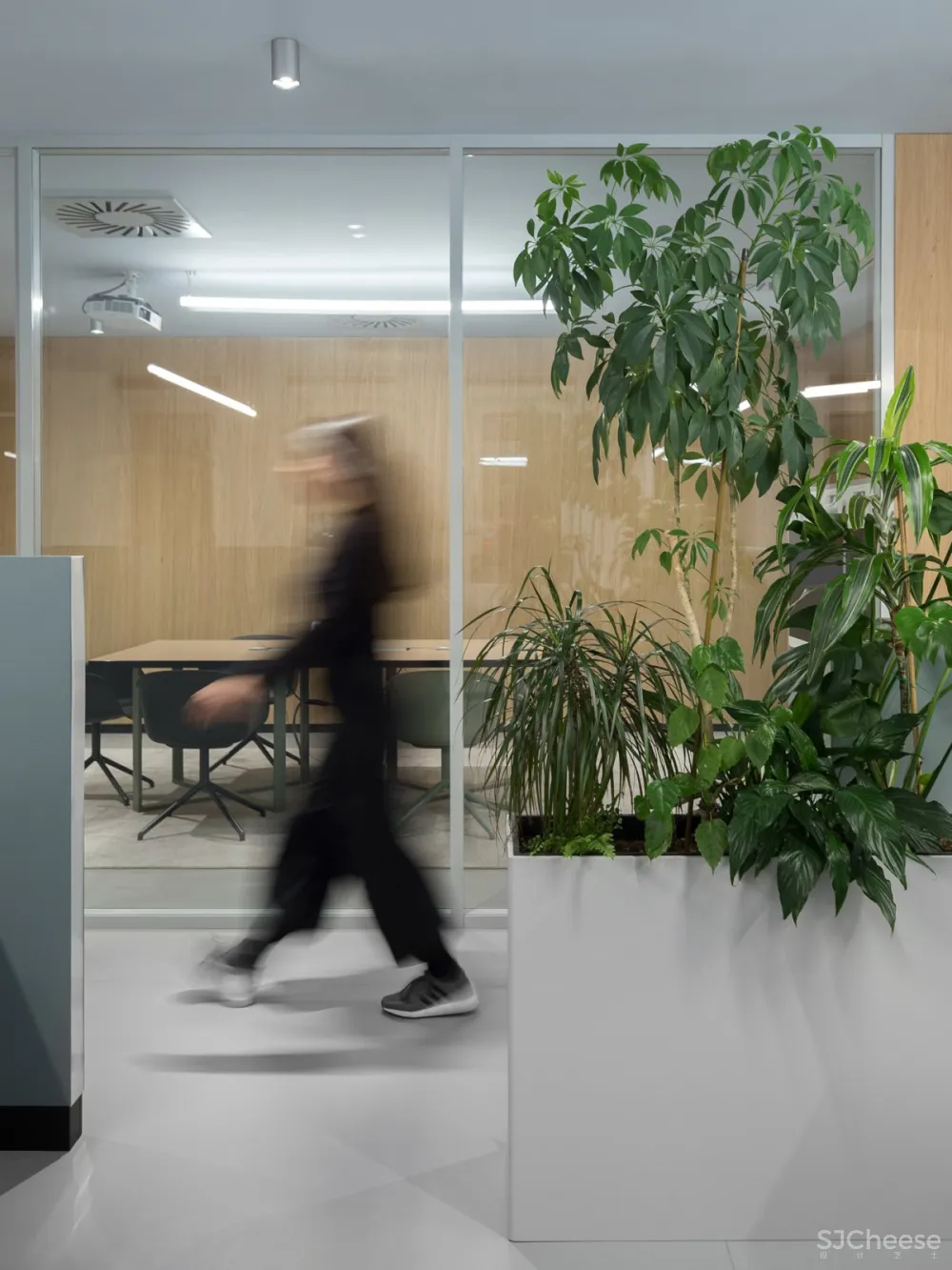 Autori | Roche Offfice , 现代舒适的办公空间