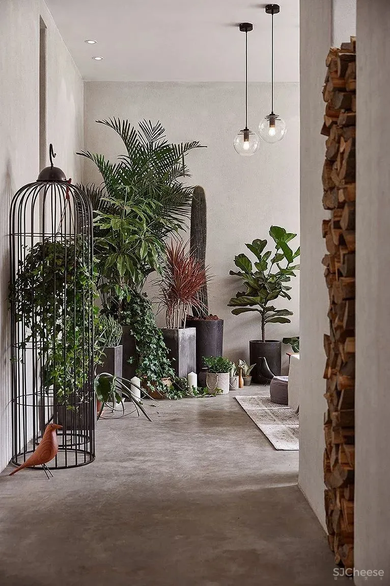 塔莎杜朵民宿｜时上空间设计