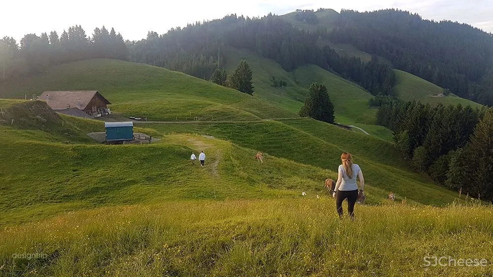 这个酒店,没有门、没有墙、没有天花板、没有厕所……