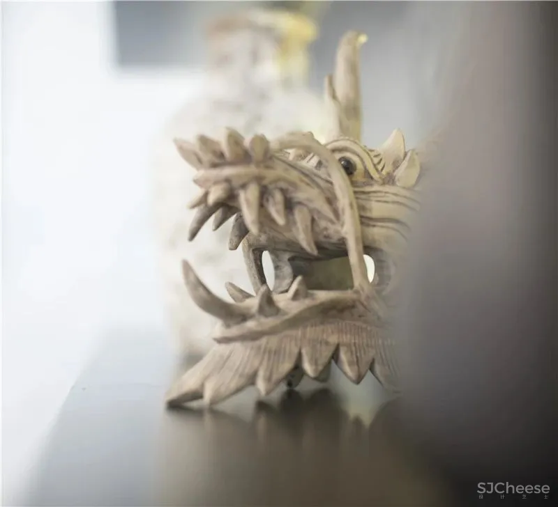 2020 意大利 IIDA AWARD国际设计大奖 国际设计师形象大使 谢秉峻