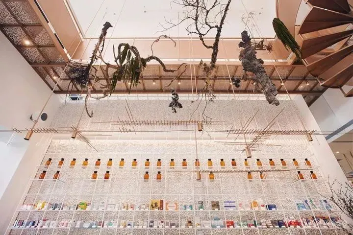 中国最美药店诞生！建筑大师伊东丰雄弟子操刀，药店再也不像超市了！