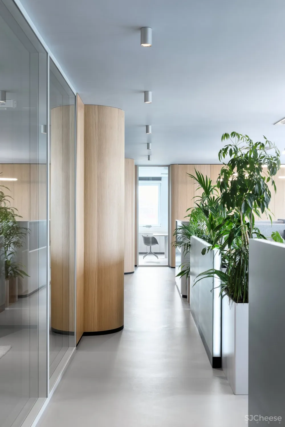 Autori | Roche Offfice , 现代舒适的办公空间