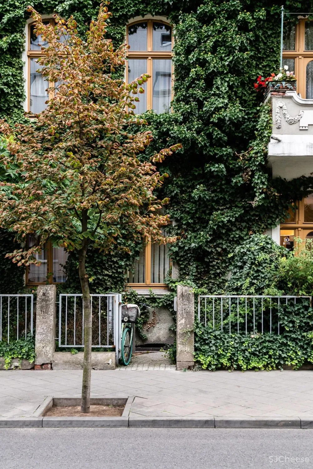 这个以“绿”为美的空间,打造出了现代与古典兼具的极致魅力