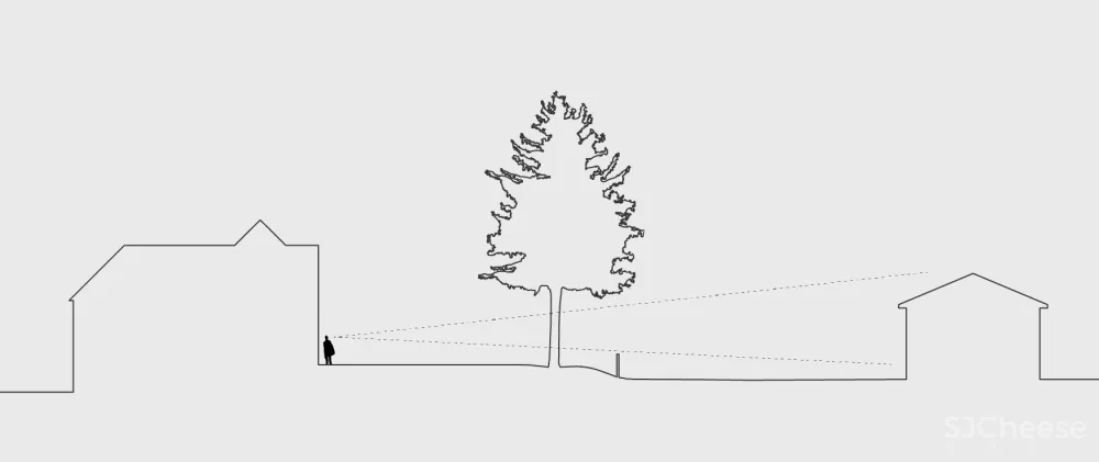 庭院住宅，细节中的自然探索