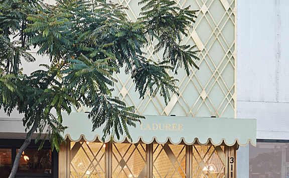 India Mahdavi | Ladurée Beverly Hills , 一个充满新鲜感的花园餐厅