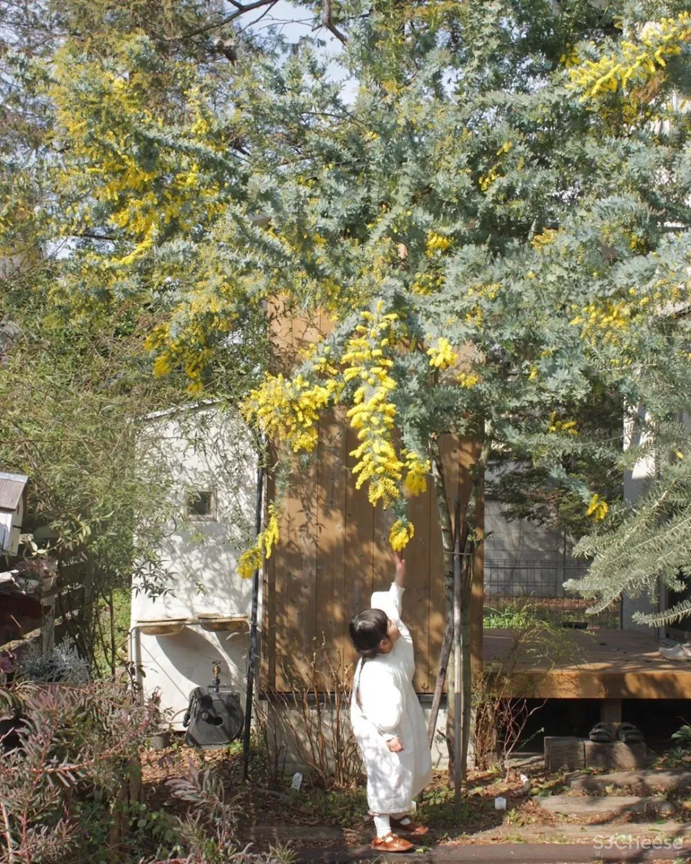 日本一主妇，晒100多㎡房子治愈无数人：没有客厅和电视，却是家居界的教科书！