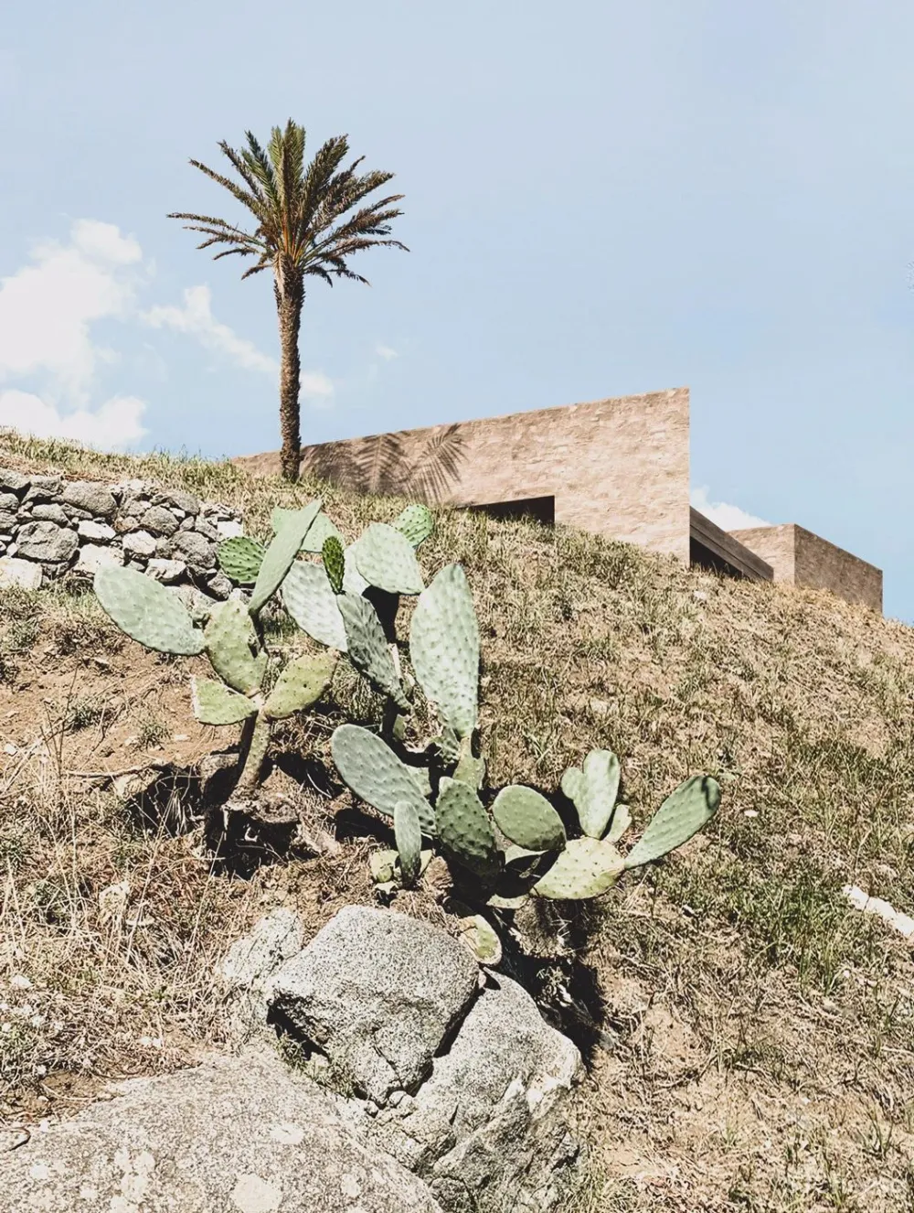 “土味”奢宅，越土越高级