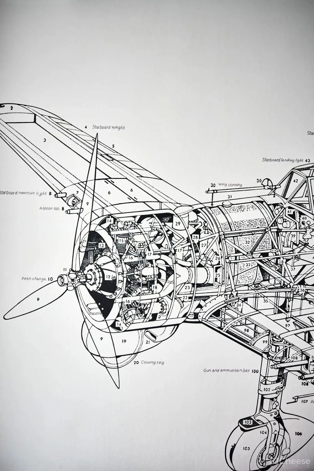 家,就该这样设计,悠闲而温馨!