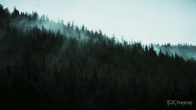 维多利亚女王的狩猎小屋,被Axel Vervoordt 徒弟改造成侘寂酒店