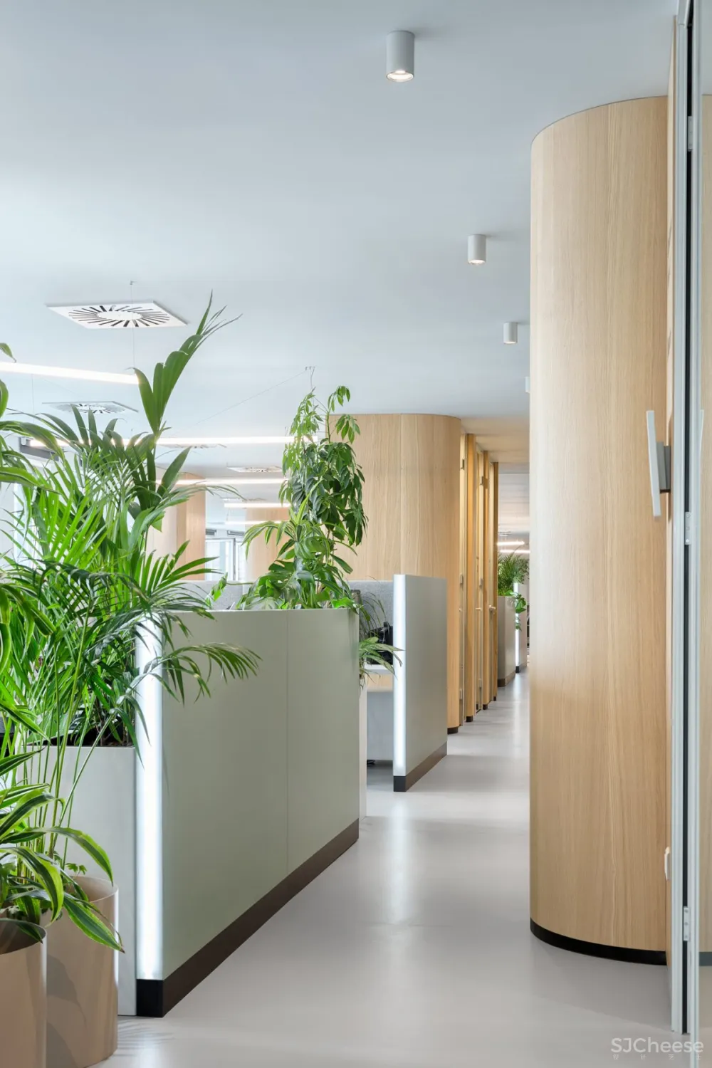 Autori | Roche Offfice , 现代舒适的办公空间