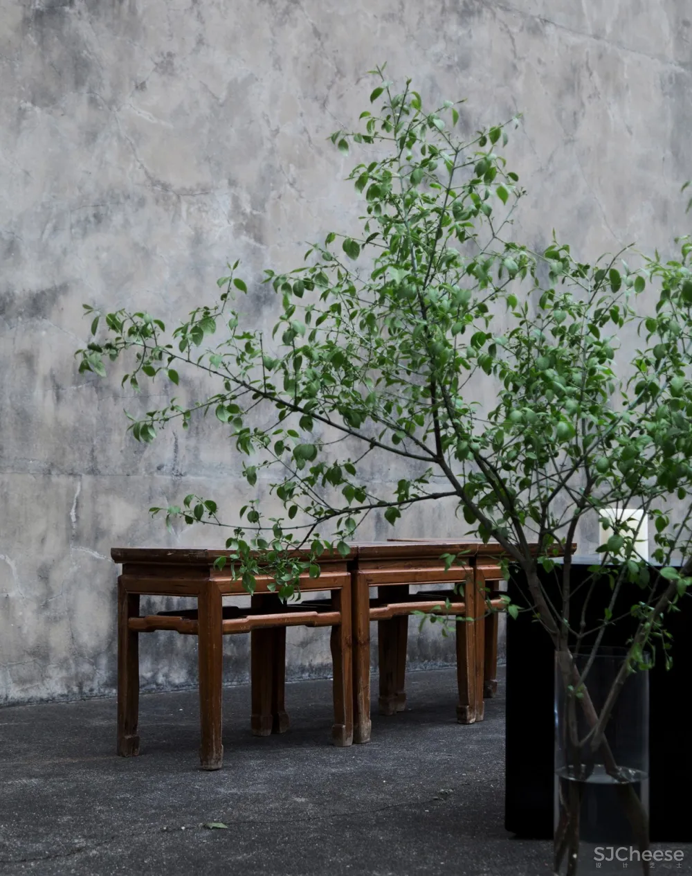 失踪旅馆&不见酒店