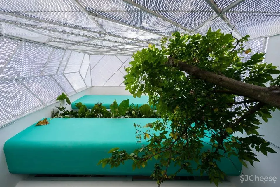 越南这个被低估的设计国度,竟藏了这么多绿色住宅