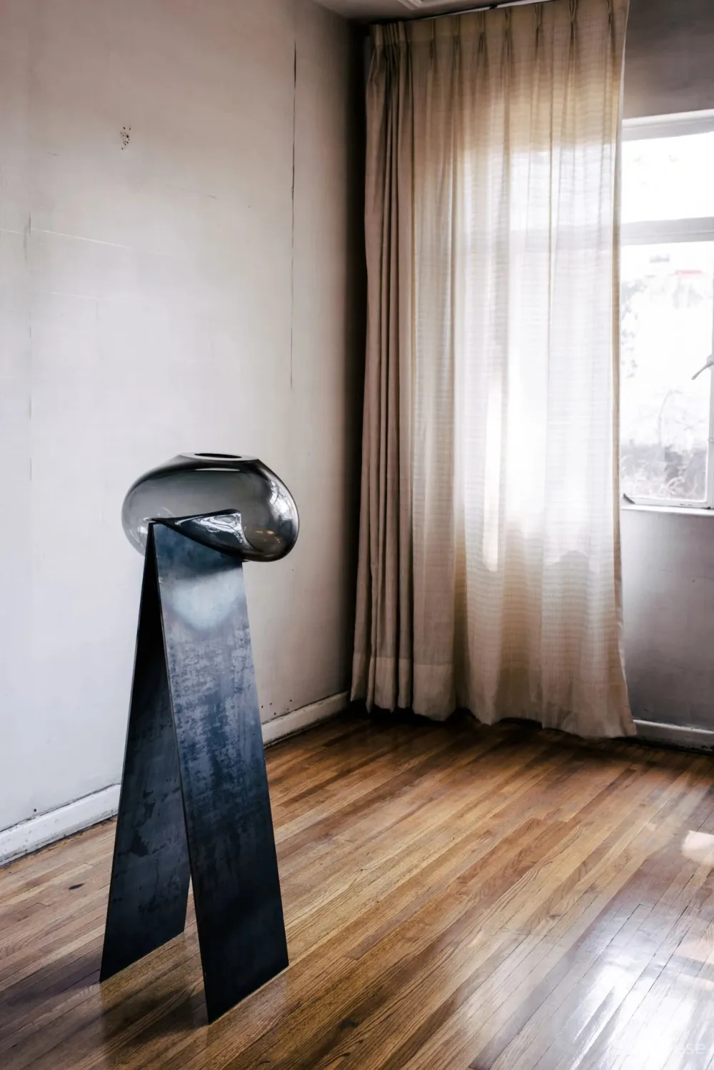 “集體收藏”與“恢復發現”