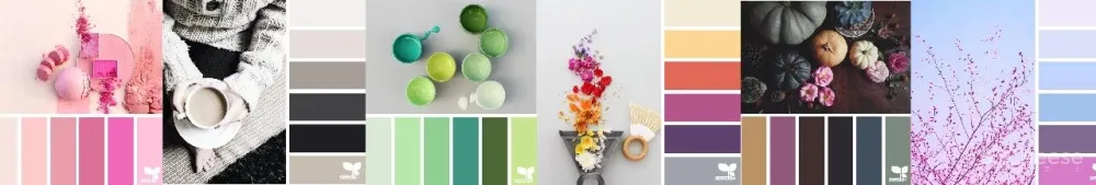 文章|仅20%的设计师认识【高级灰】