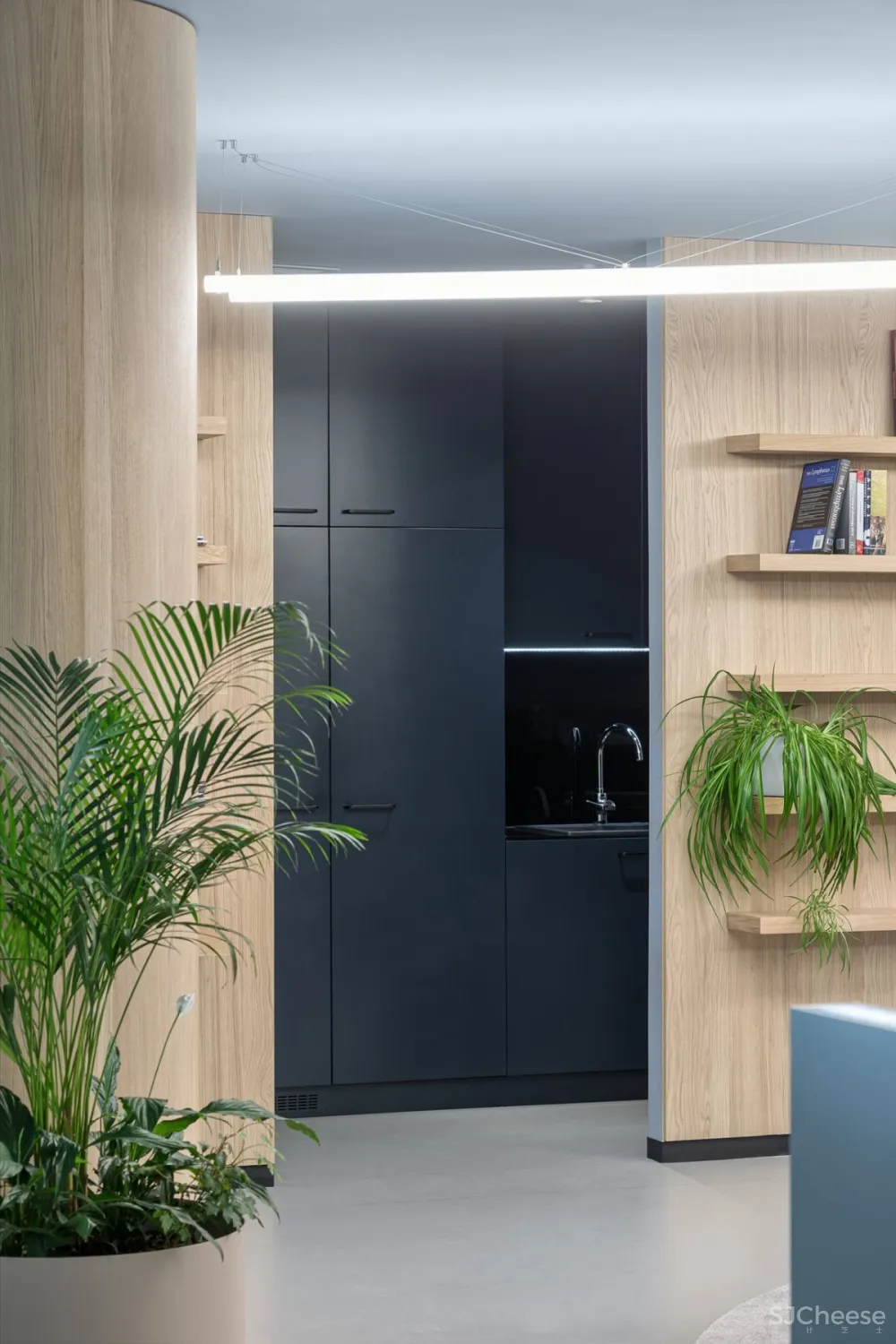 Autori | Roche Offfice , 现代舒适的办公空间