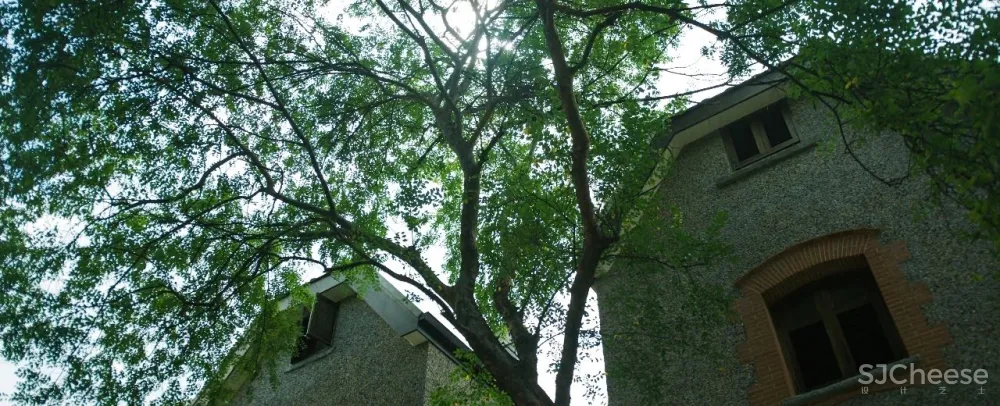 在日常的阴翳中,安然歇憩